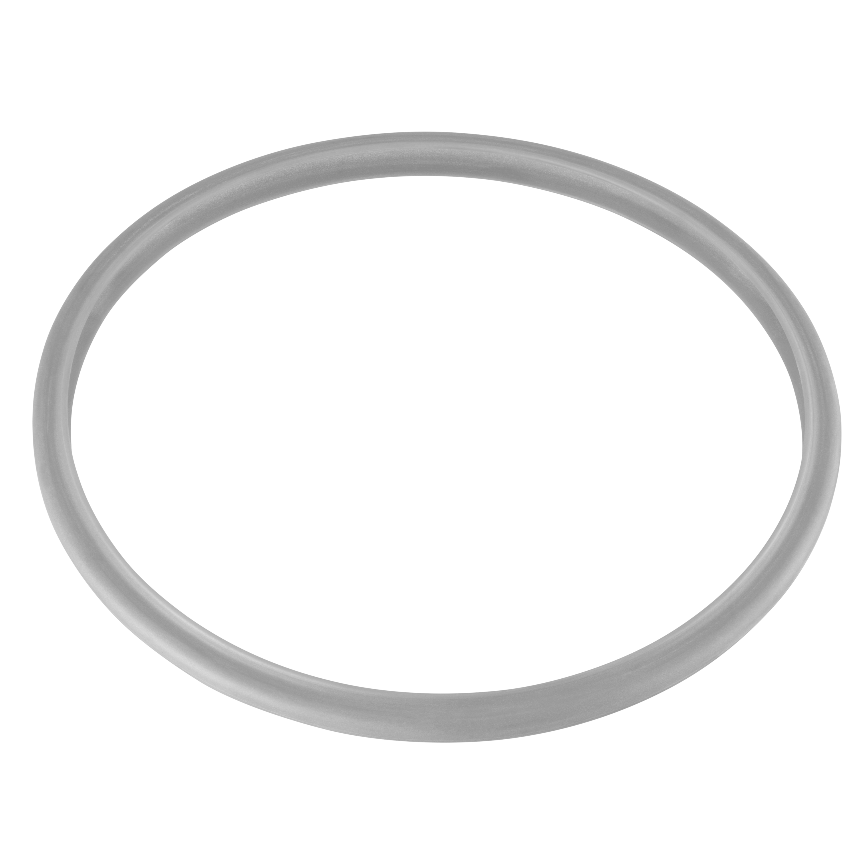 WMF Dichtungsring 22 cm