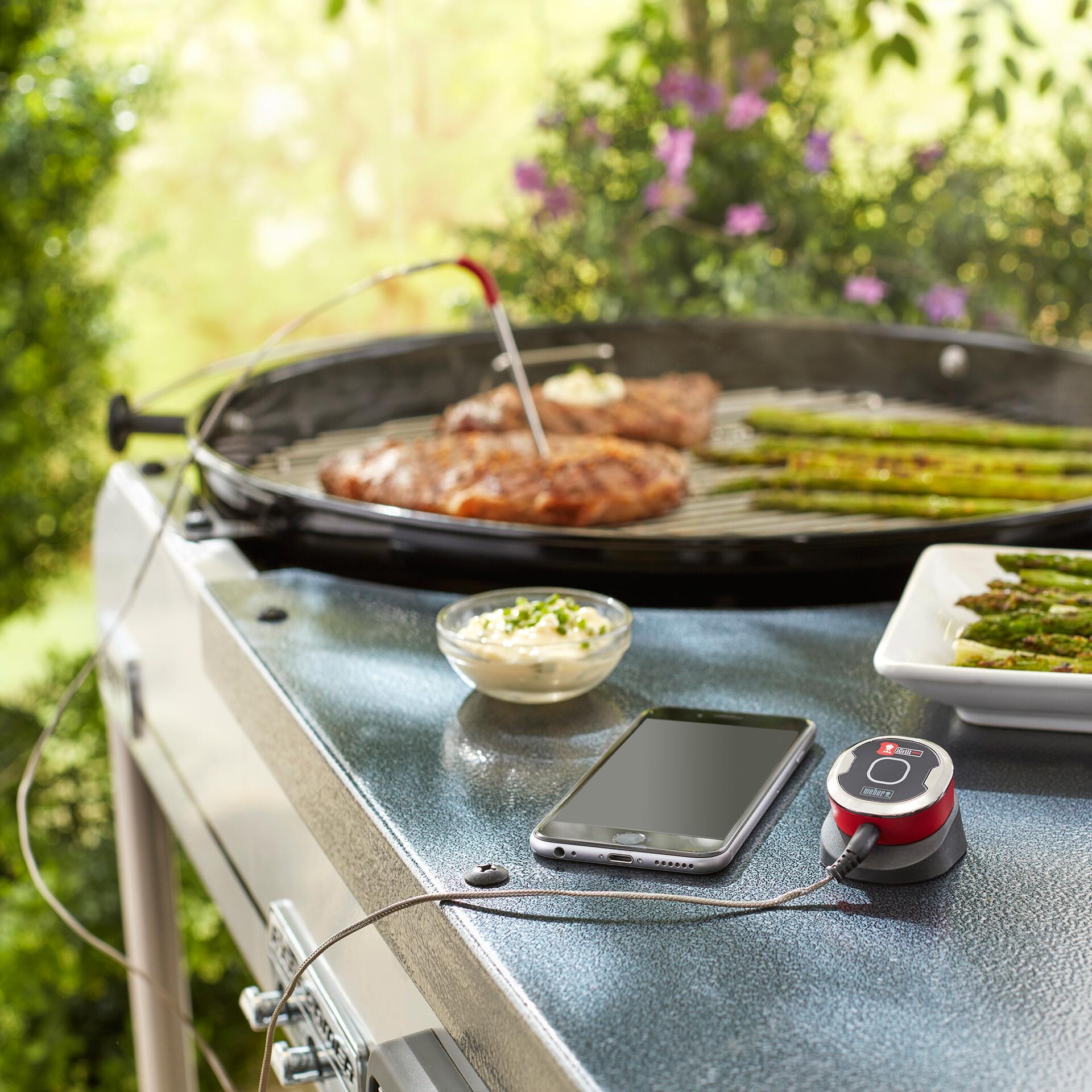 Weber iGrill Mini Bluetooth Thermometer 7220