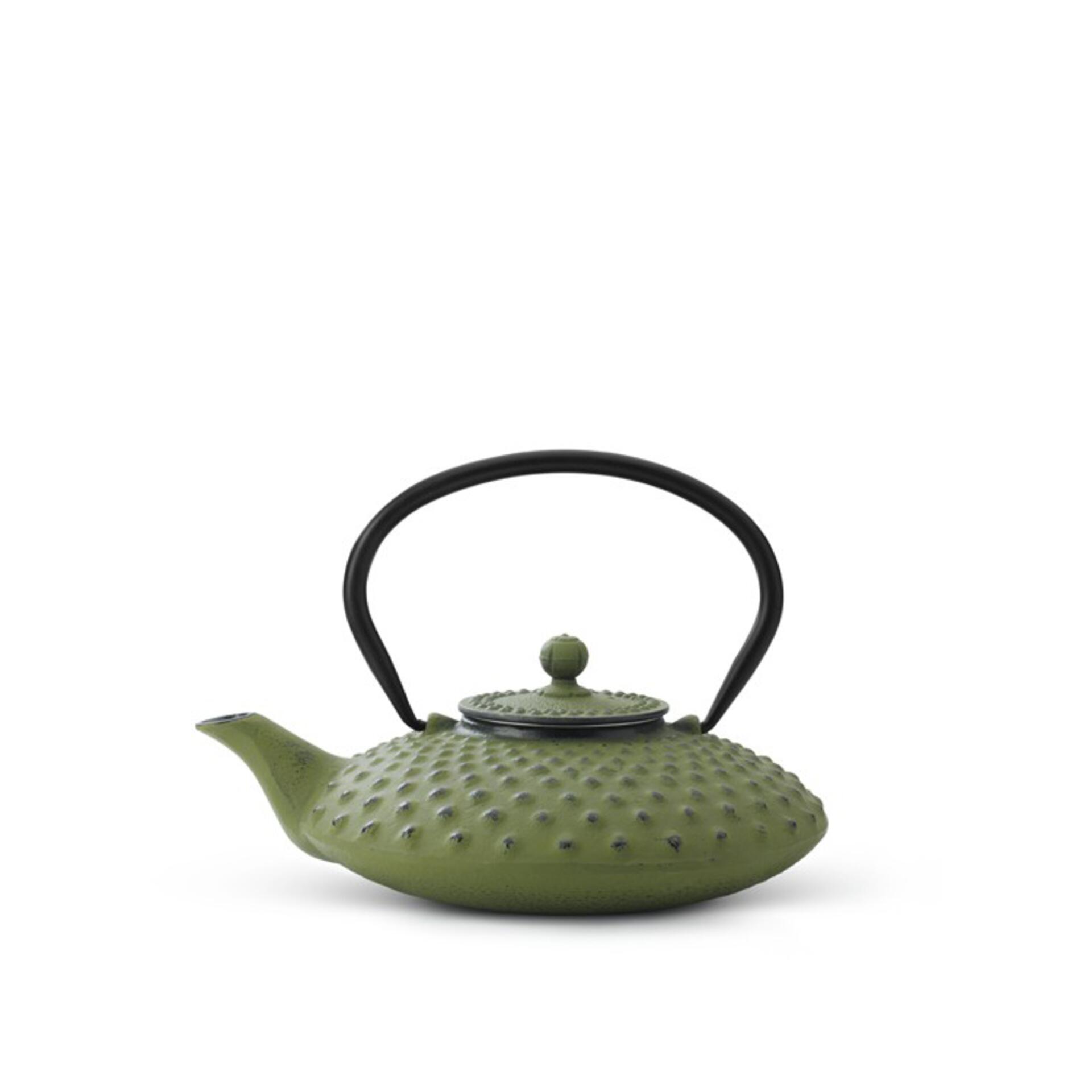 Bredemeijer Teekanne Asia Xilin Grün 0,8 l Bredemeijer Teekanne Asia Xilin Grün 0,8 l