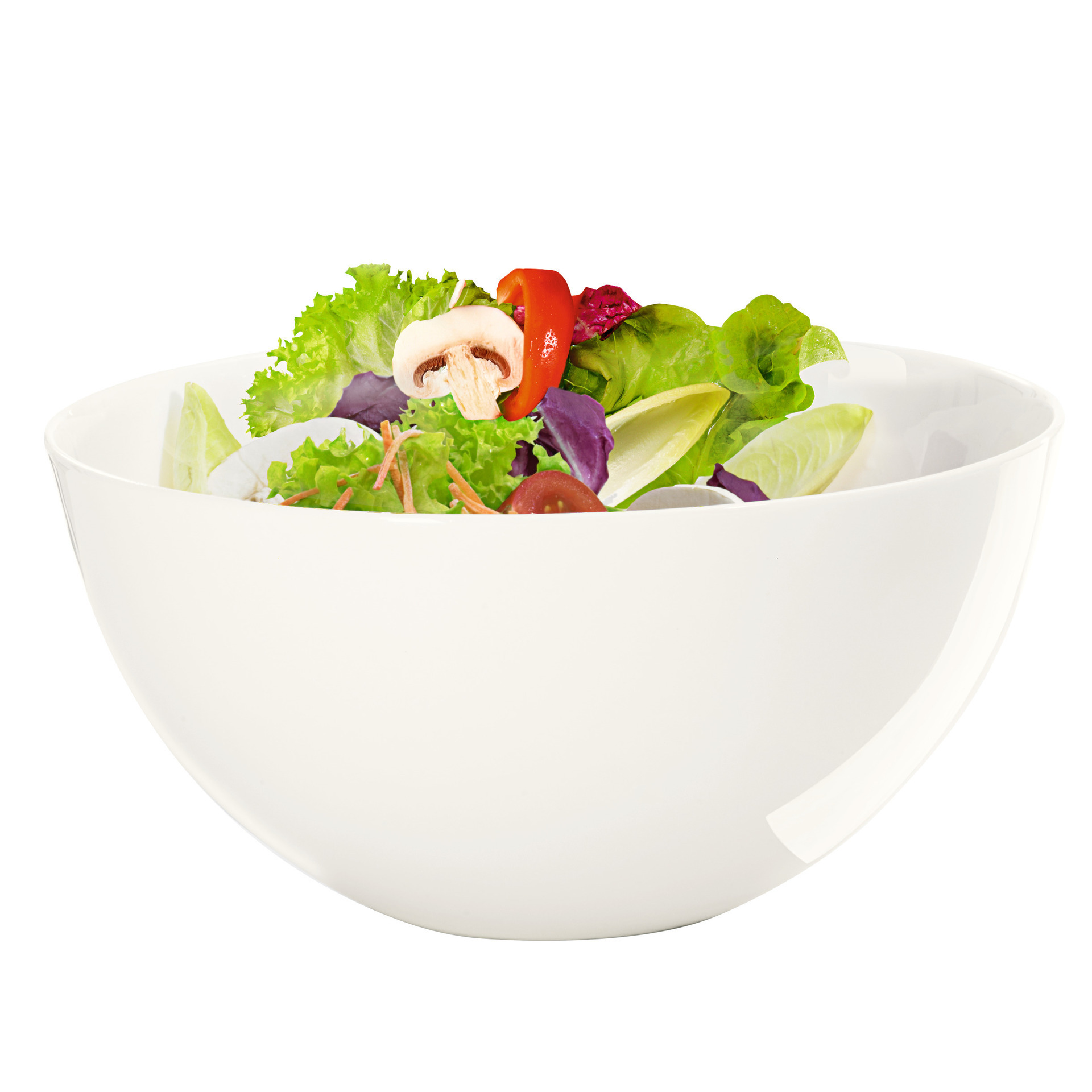 ASA atable Schüssel Durchmesser 25 cm, Höhe 12,5 cm, 3l ASA atable Schüssel Durchmesser 25 cm, Höhe 12,5 cm, 3l