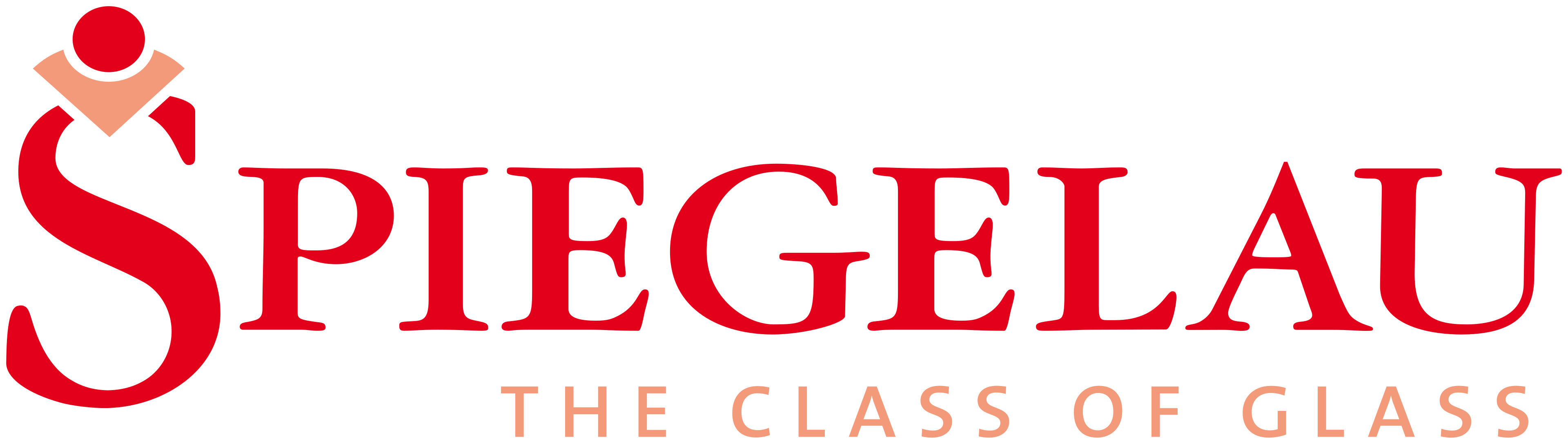 SPIEGELAU