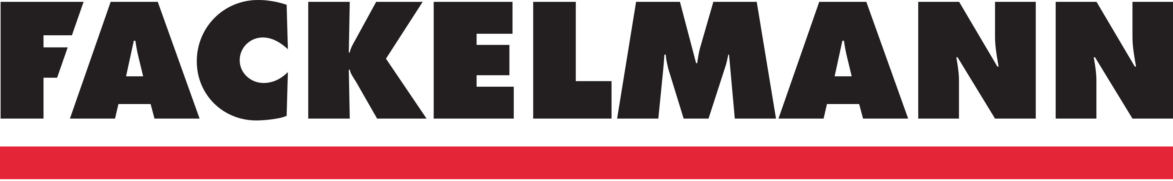 FACKELMANN