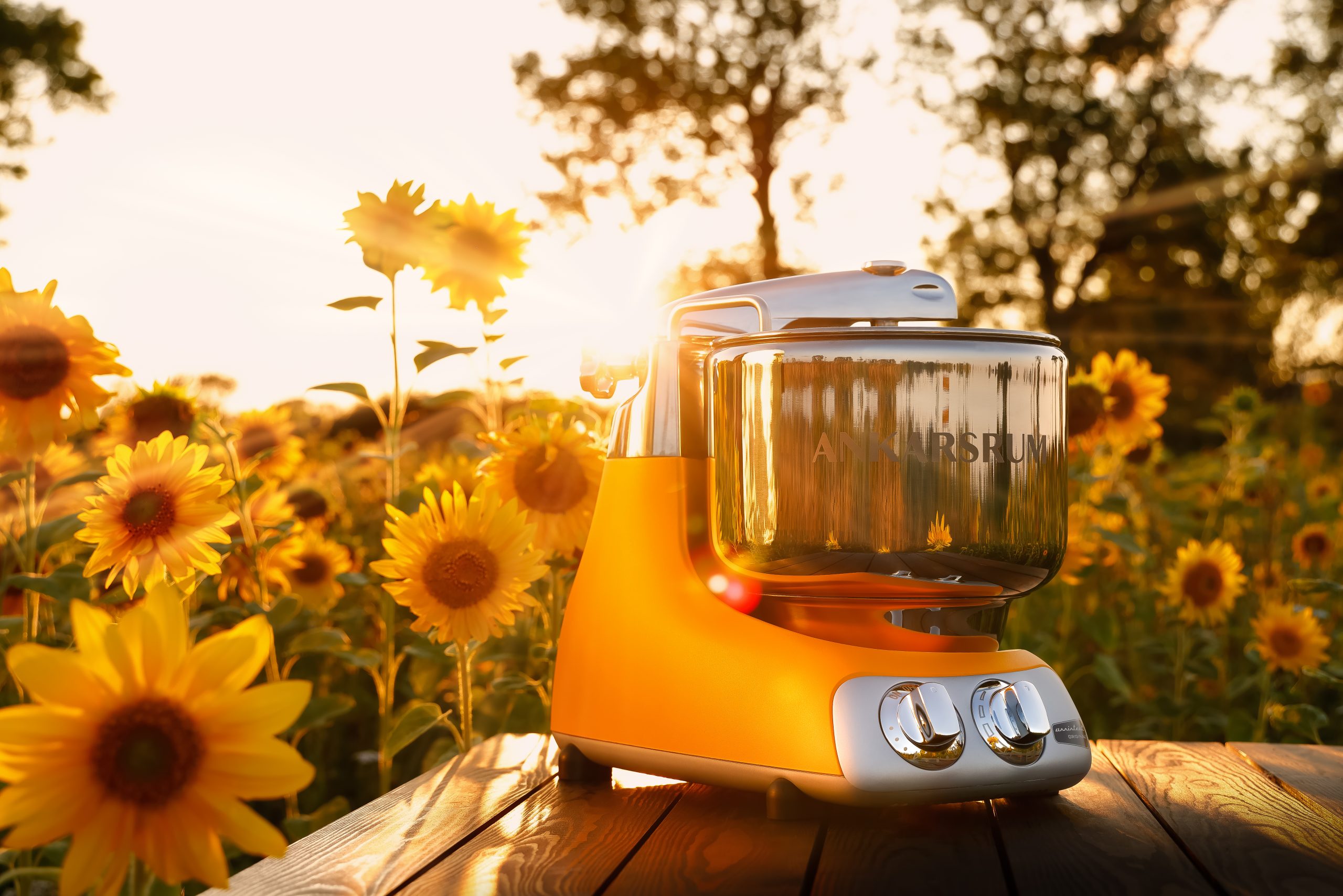 Ankarsrum Küchenmaschine 6230 Sunbeam Yellow 2300122 Ankarsrum Küchenmaschine 6230 Sunbeam Yellow 2300122