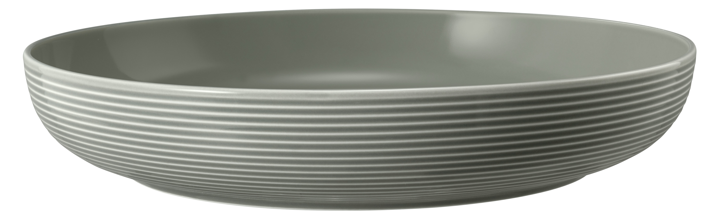 Seltmann Beat Foodbowl 28 cm grau